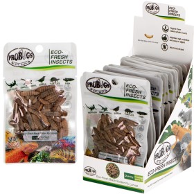 ProBugs Eco-Fresh Black Soldier Fly Larvae