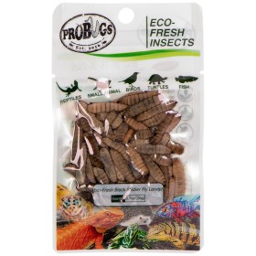 ProBugs Eco-Fresh Larvas de Mosca Negra 20g