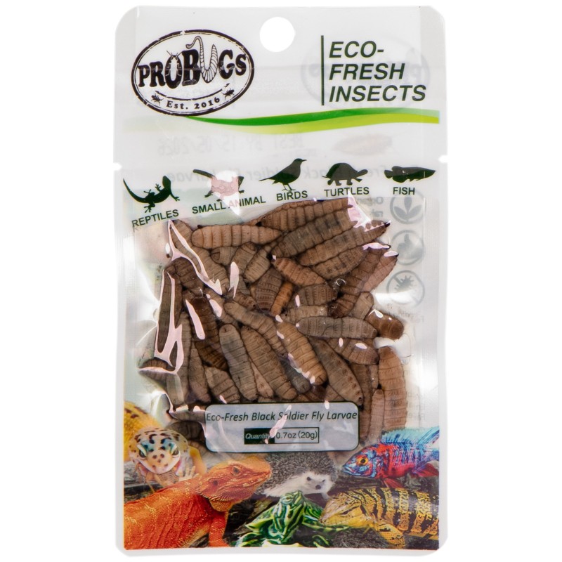 ProBugs Eco-Fresh 20g - černé larvy octomilky