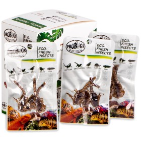 ProBugs Eco-Fresh Scorpioni 3buc - Hrana sănătoasă pentru animale de companie