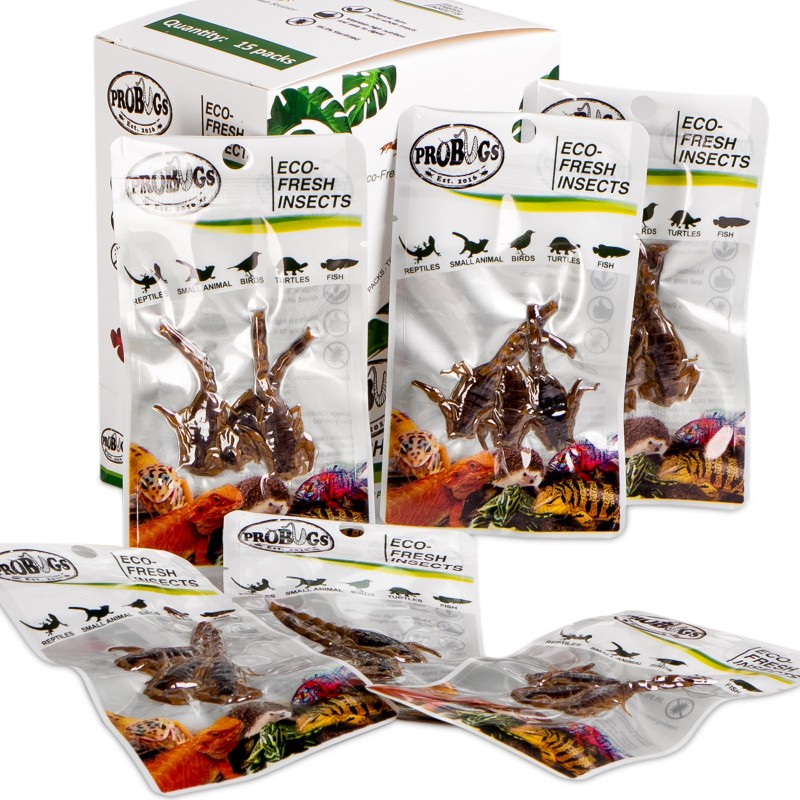 ProBugs Eco-Fresh Escorpiones 3 unidades - Alimento saludable para mascotas