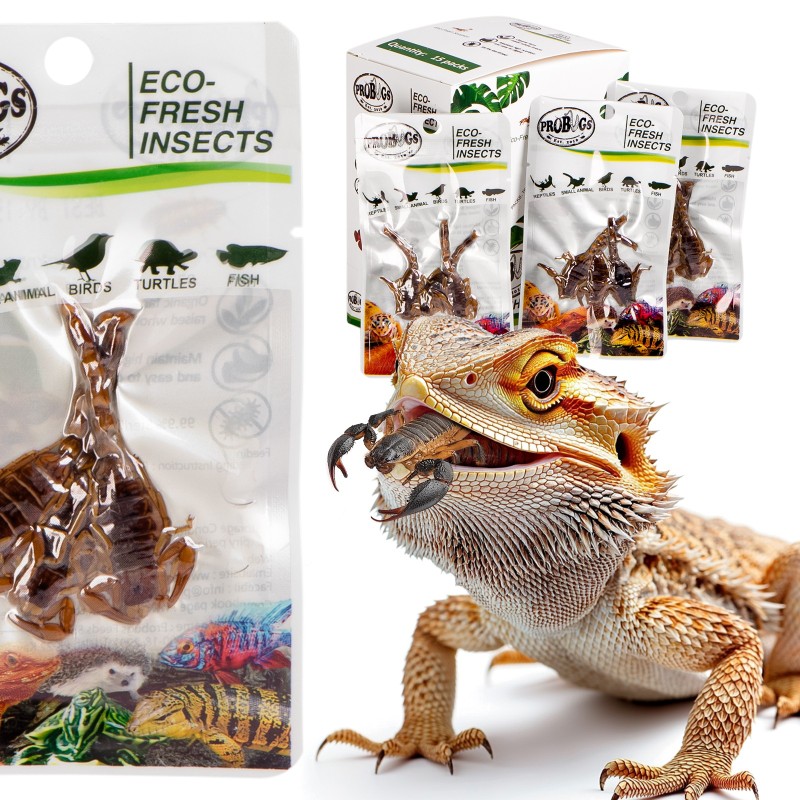 ProBugs Eco-Fresh Escorpiones 3 unidades - Alimento saludable para mascotas