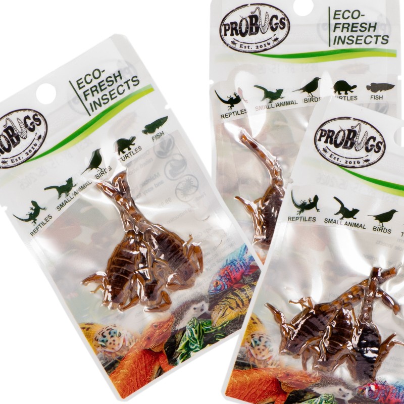 ProBugs Eco-Fresh Escorpiones 3 unidades - Alimento saludable para mascotas