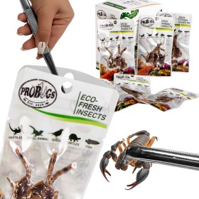 ProBugs Eco-Fresh Scorpioni 3buc - Hrana sănătoasă pentru animale de companie