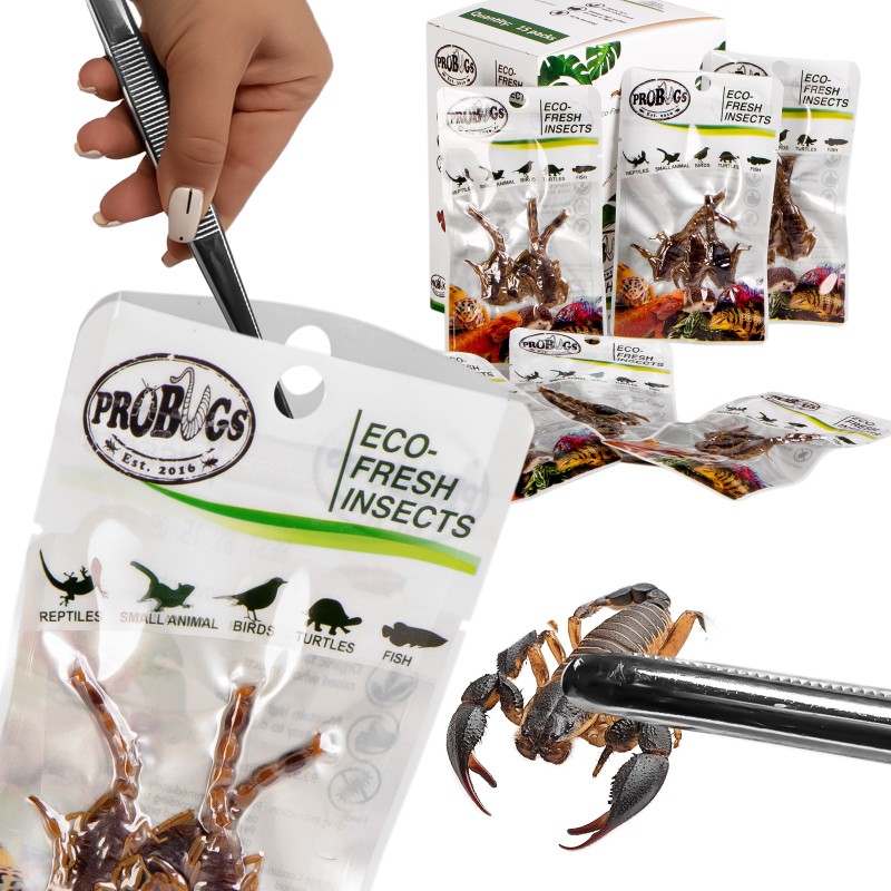 ProBugs Eco-Fresh Escorpiones 3 unidades - Alimento saludable para mascotas