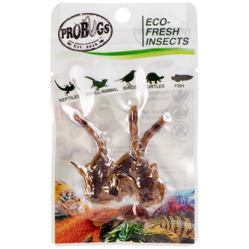 ProBugs Eco-Fresh Escorpiones 3 unidades - Alimento saludable para mascotas