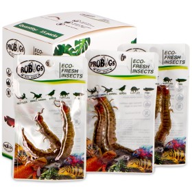 ProBugs Scolopendra - alimento saludable para animales.