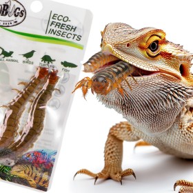 ProBugs Scolopendra - alimento saludable para animales.