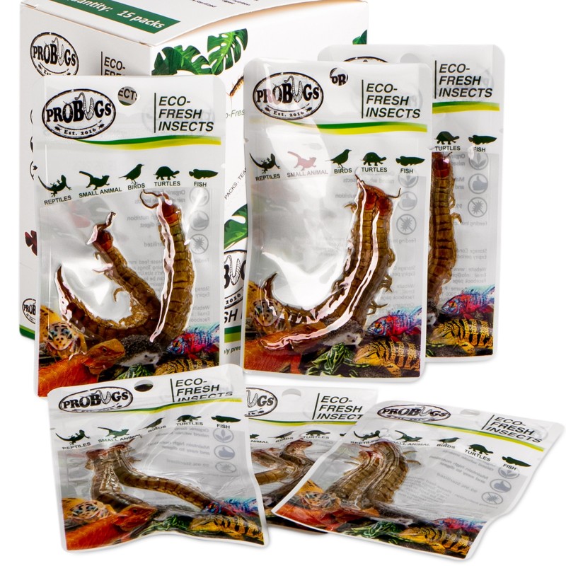 ProBugs Scolopendra - healthy feed for animals