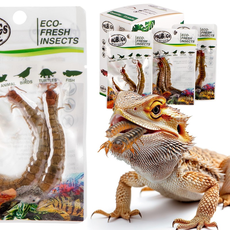 ProBugs Scolopendra - alimento saludable para animales.