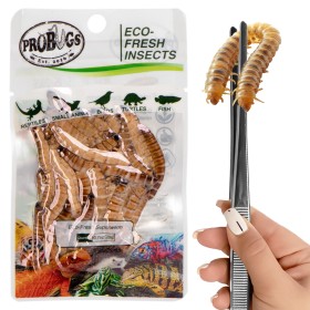 ProBugs Eco-Fresh Superworm - 15 maišelių