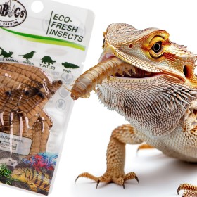 ProBugs Eco-Fresh Superworm - 15 sachets