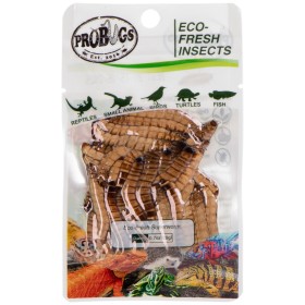 ProBugs Eco-Fresh Superworm - 15 maišelių