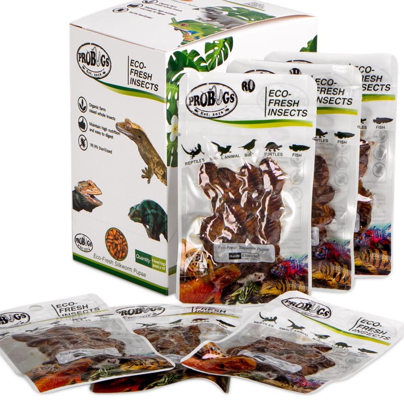 ProBugs Eco-Fresh - fresh silkworm larvae