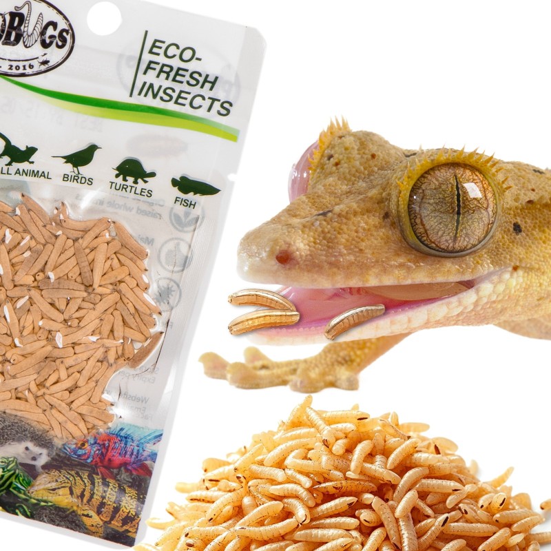 ProBugs Eco-Fresh Riceworm 15x15g för djur