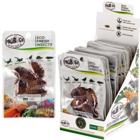 ProBugs Eco-Fresh Dubia Cockroach 15 sasjetter