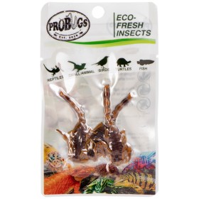 ProBugs Eco-Fresh: Escorpiones Frescos 15 piezas