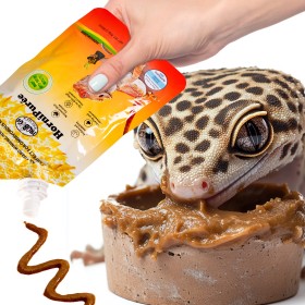 ProBugs HorniPuree 80g - alimentation complète et vitamines en gel pour reptiles