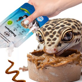 ProBugs DubiPuree 80g - régime complet d'alimentation et vitamines en gel pour reptiles.