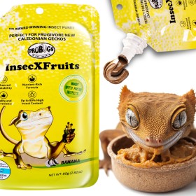 ProBugs InsecXFruits 80g - alimentation complète et vitamines en gel pour reptiles.