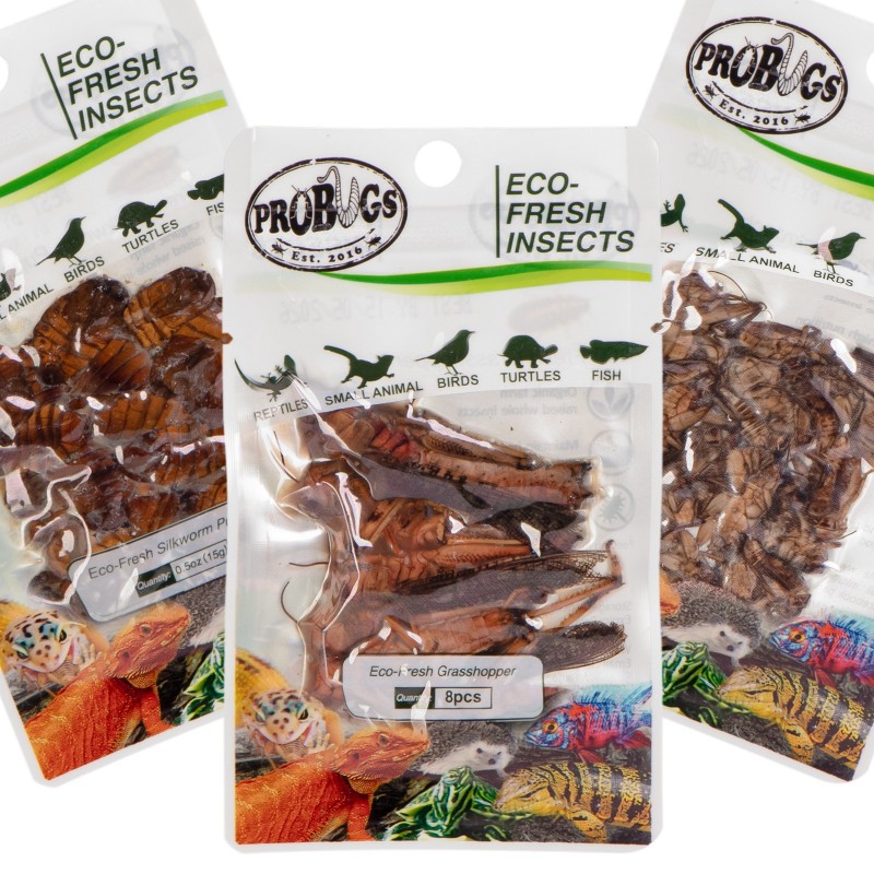 Ensemble Probugs Reptiles - Nourriture saine pour reptiles