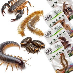 Conjunto de Grandes Reptiles Probugs - Alimento para Reptiles