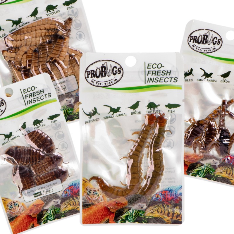 Ensemble Probugs Grands Reptiles - Nourriture pour Reptiles