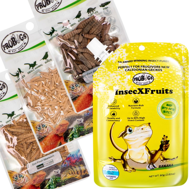 Probugs Small Gecko Set Plus - dieta pro gekony