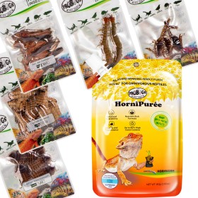 Probugs Bearded Dragon Set Plus - Food Set