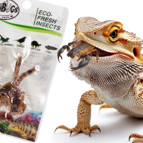 Probugs Bearded Dragon Set Plus - Barības komplekts