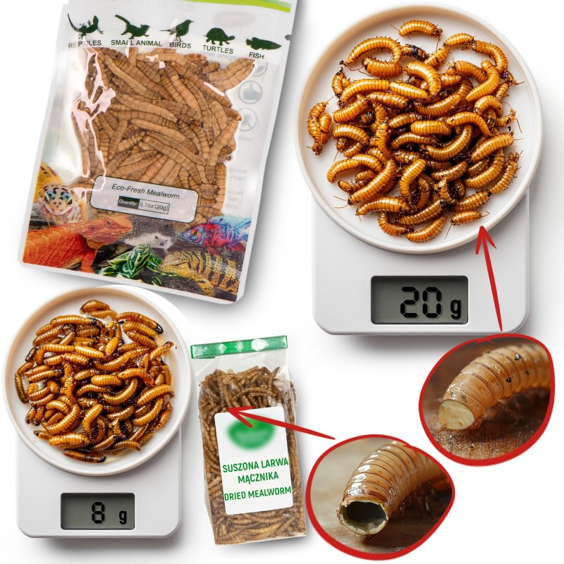 ProBugs Eco-Fresh Riceworm 15g - Animal Feed