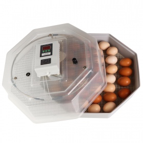 Incubateur HFM Thermo 60 pour 60 œufs